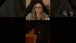 I Got Jumpscared By A Bug In Minecraft