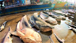 Unbelievable fish market