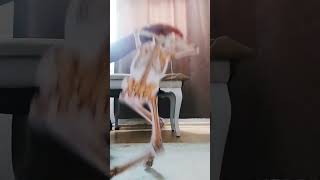 Yamede Kuduasai