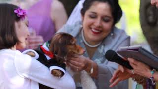 Steph + Zeb Wedding Film/Music Video