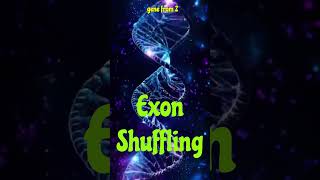 Exon Shuffling