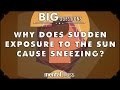 Why does sudden exposure to the sun cause sneezing?  - Big Qu...
