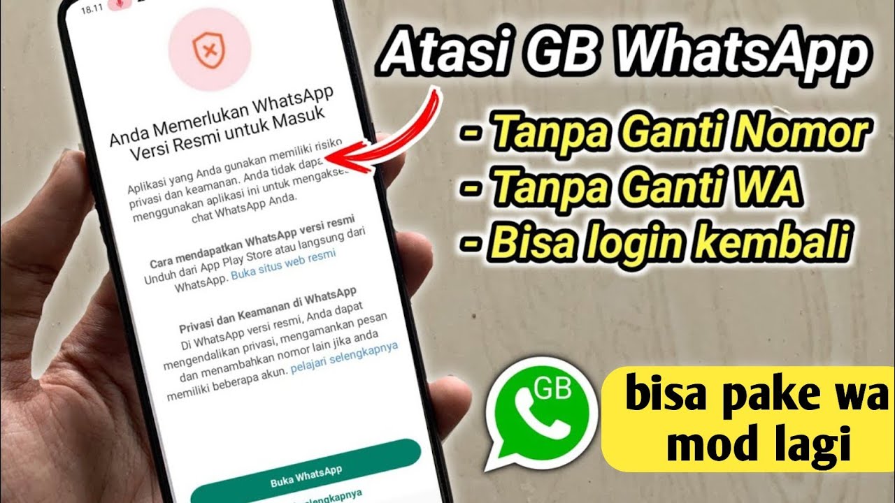 WhatsApp has been hit by a warning about using an official application WhatsApp has been hit by a warning about using an official application