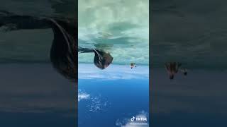 Cemre Solmaz Tiktok Videosu