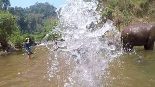 River bathing with elephants with Sophie & Lucky