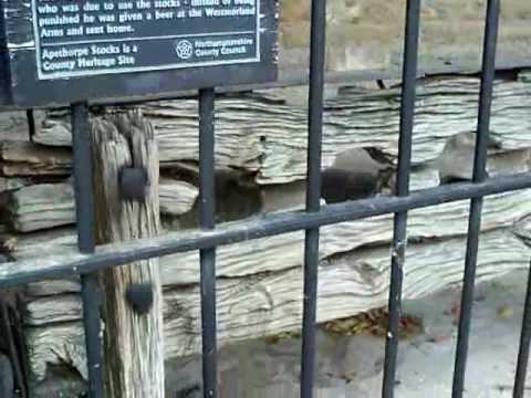 Pillory and Stocks Scenes Movie...