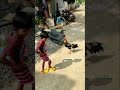 Cock fight with small boy சேவல் சண்டை