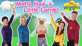 Watch Wiggles Mary Had A Little Lamb video