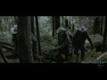 Top Movies
