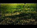 Final Fragment - Going To Nangijala [Free Download]