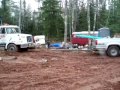 big block 454 pulls semi out of mud