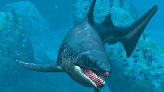 Edestus In The Ocean