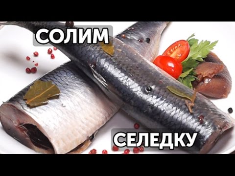 Домашних условиях посолить свежемороженую сельдь 732
