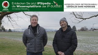 IPSipedia - Herbizidloser Getreidebau / Céréales sans Herbicide (IP Suisse)