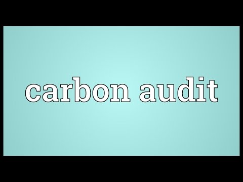 Header of carbon audit