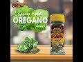 Oregano | Oregano kia hy | What is Oregano | Ty Foods