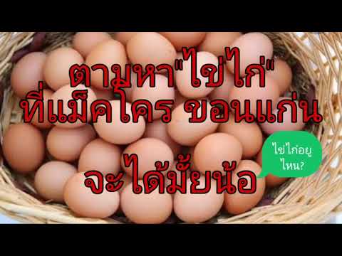 ตามหาไข่ไก่ที่แม็คโคร