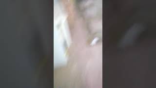Picadon De Culo