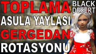 Toplama Asula Yaylası Gergedan Rotasyonu Black Desert