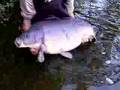 Boy met ''Flower'' op 43 pond!!
Schoon aan de haak
07-05-'07