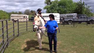 Pony Ride 3