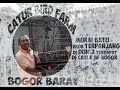 Bird Farm - Burung Murai Batu Ekor Terpanjang Di Dunia Terdapat Di Catur BF