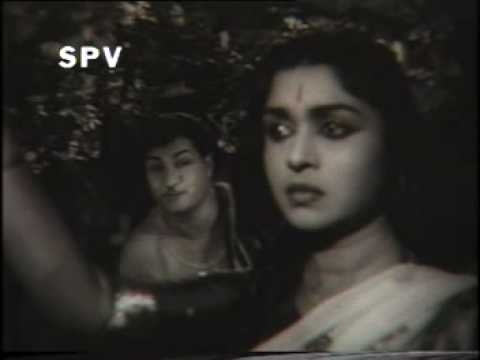 gorinka gootiki cherave chiluka song in ntr daagudu moothalu...