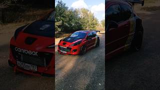 Peugeot 207 Rc Stage 2