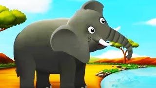Feedingtime With Fred & Olive Vol 2 Safari Animals By Hompimpa Studio