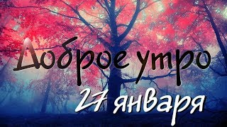 Доброе Утро - Выпуск 62 (27.01.2019)