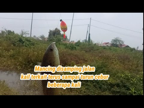 Demi kail tidak putus rela bercebur beberapa kali