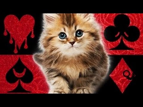 Ranker Video