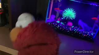 Elmo World Bugs Kids
