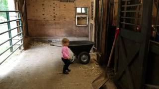 Priceless 2 Year Old Reaction To Horse Farting