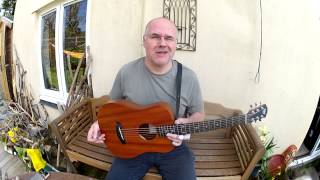 Baby Taylor BT2 mahogany 3/4 dreadnought - the guitar that inspired me to start 