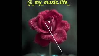 Almaz Adina Uygun Video
