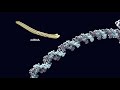 reprogrammed stem cells