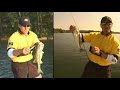 Lucky Craft Sammy Series with Joe Thomas