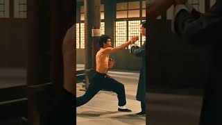 If Bruce Lee Vs. Ip Man