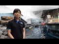 遊ぶ幸せ感じてイルカ　大阪の水族館、「刺激」を提供