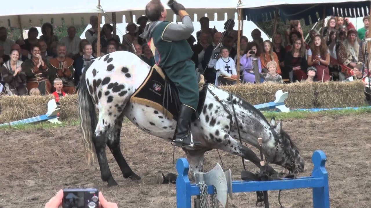 "Lustiges Pferd" LOL(^^,) - YouTube