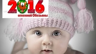 Имена для девочек, родившихся в год Обезьяны 2018 по месяцам Имена для девочек, родившихся в год Обезьяны 2018 по месяцам