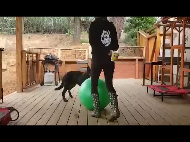 All Videos