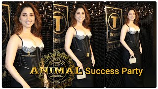 Baapre Milk Beauty Tamannaah Bhatia Looking Absolutely Stunning At Animal Grand Success Party