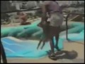 Funny videos Montage--people falling down--fainting--crashes.mp4