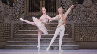 The Icing On The Cake The Secrets Of Dancing The Nutcracker 39 S Sugar Plum Fairy The Royal Ballet The Icing On The Cake The Secrets Of Dancing The Nutcracker 39 S Sugar Plum Fairy The Royal Ballet