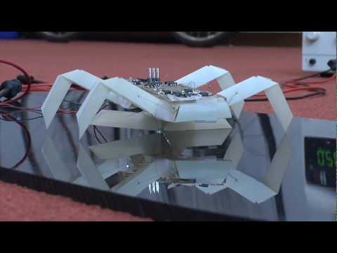 Printable Robots