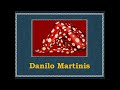 Danilo Martinis