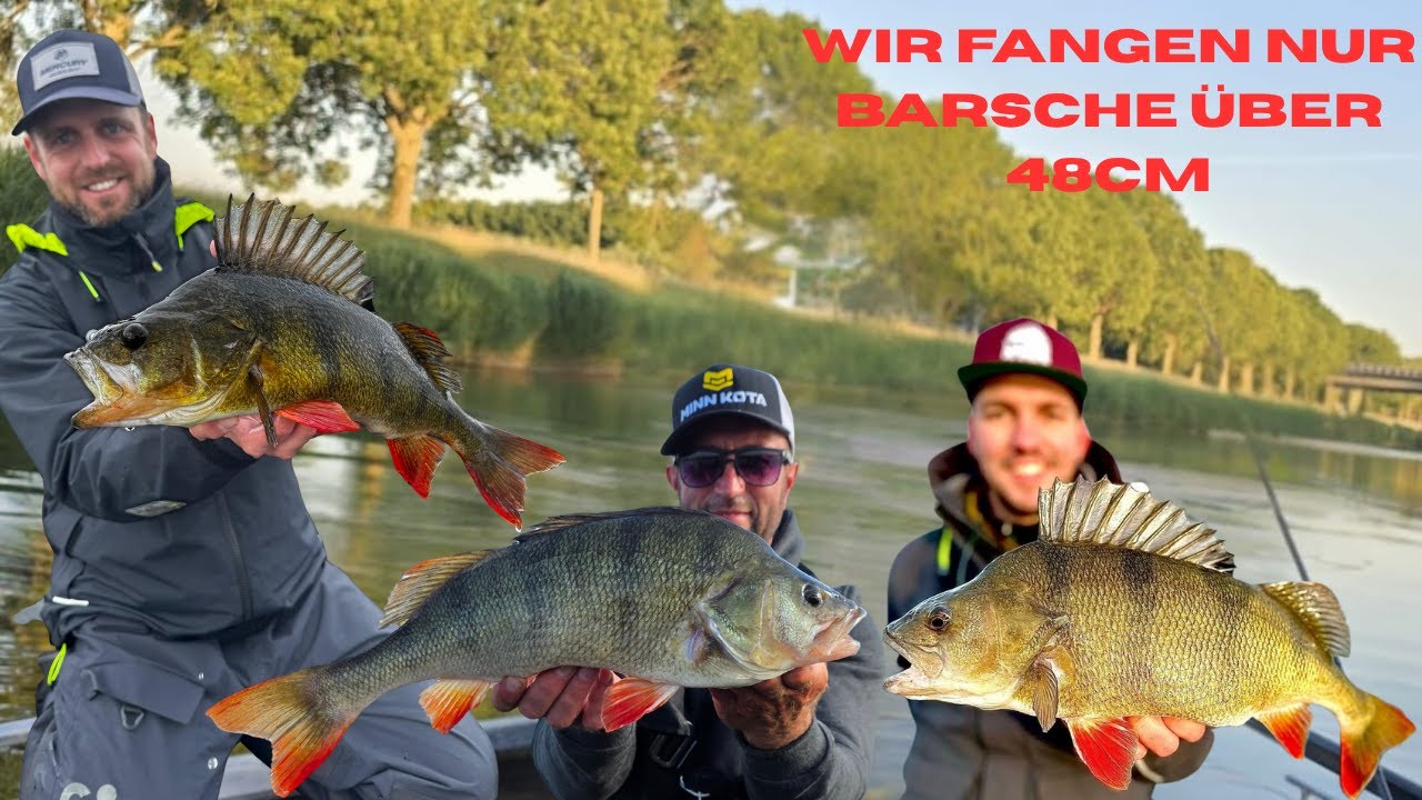 MONSTER-BARSCHE im KANAL 😱Unglaubliche FÄNGE😱