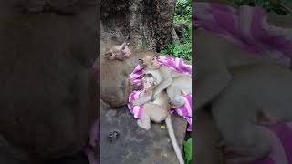 Baby Ot Sleeping Family.